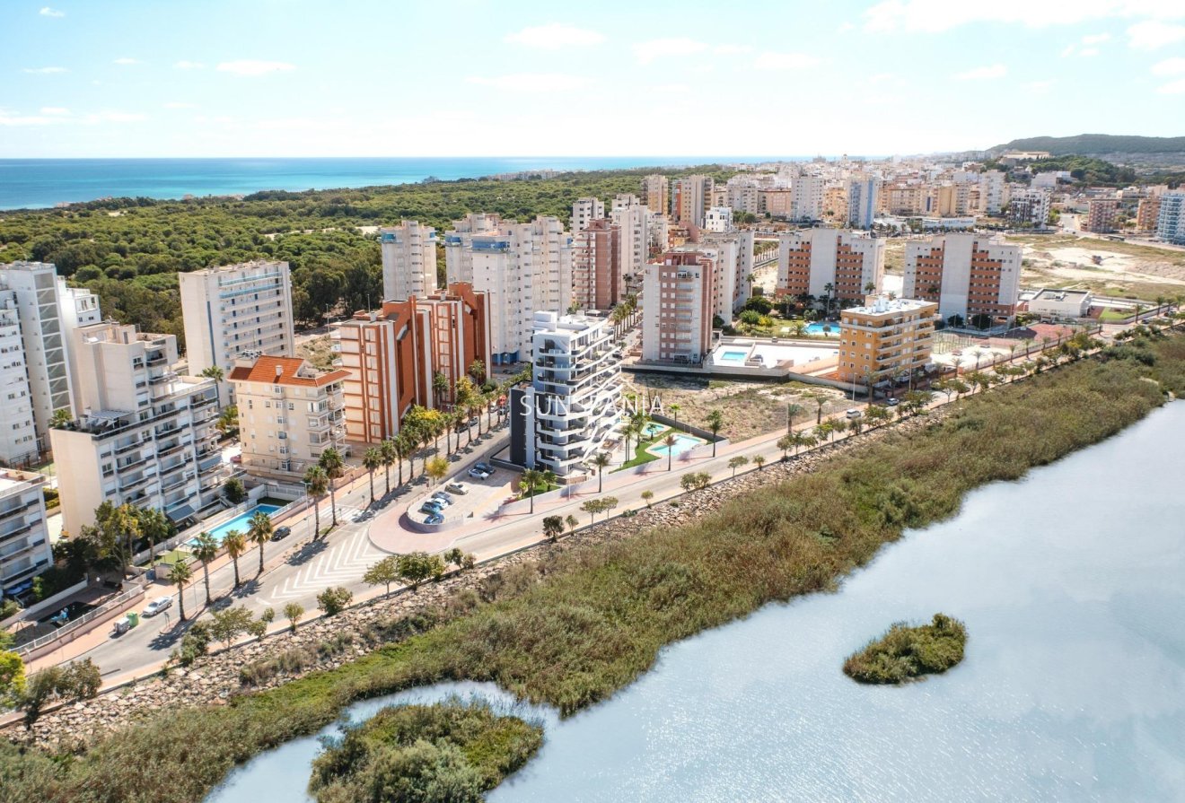 Obra nueva - Apartamento / piso -
Guardamar del Segura - Puerto