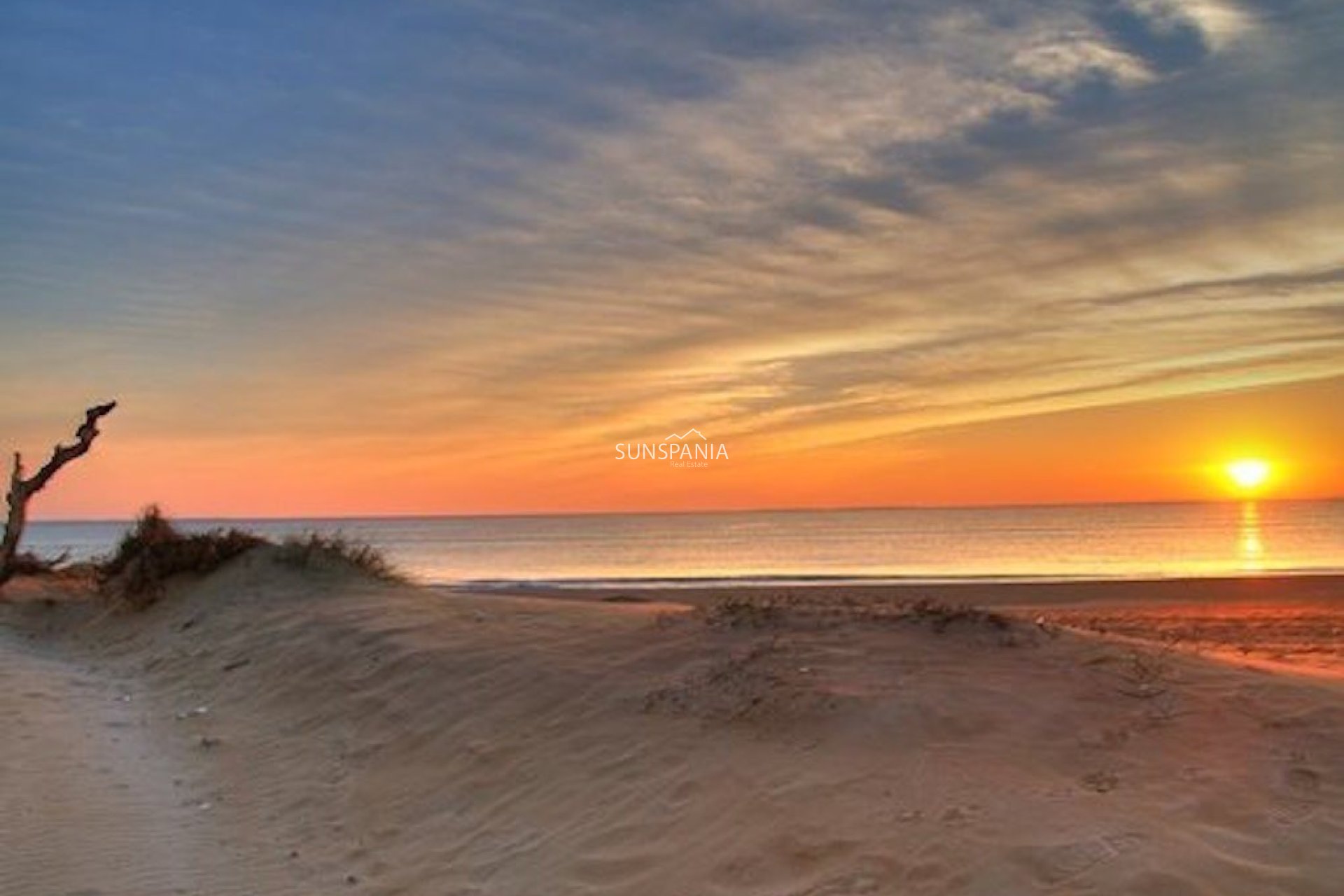 New Build - Penthouse -
Algorfa