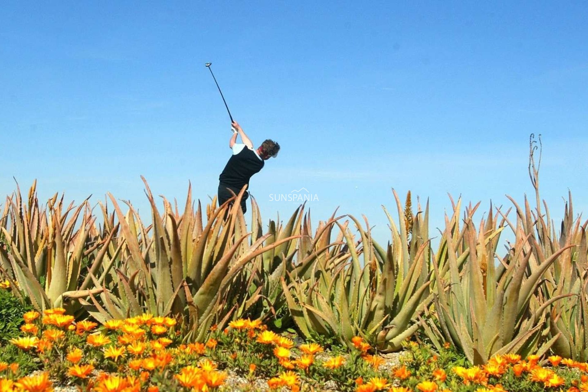 New Build - Villa -
Cuevas del Almanzora - Villaricos