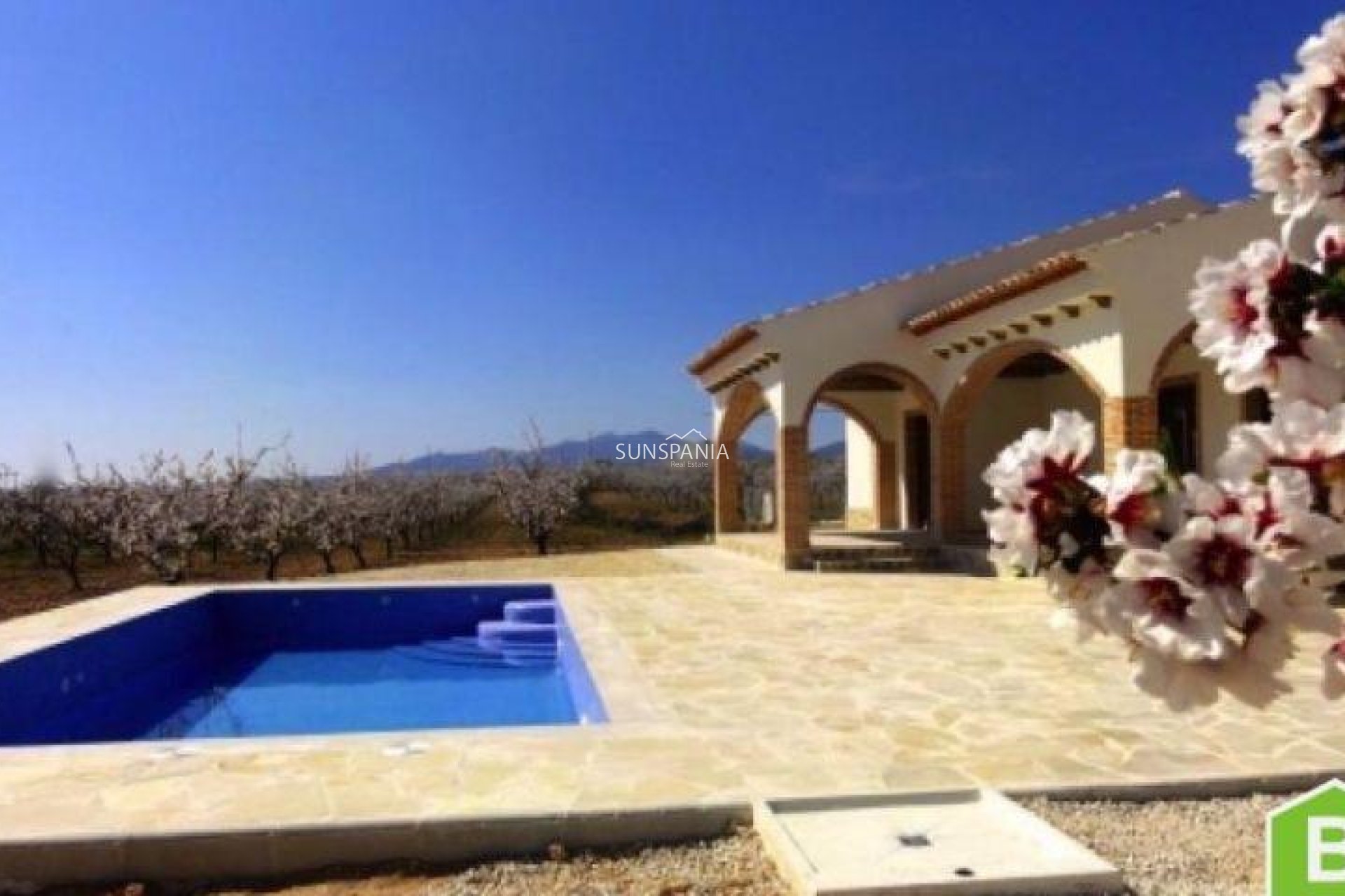 New Build - Villa -
Pinoso - Centro