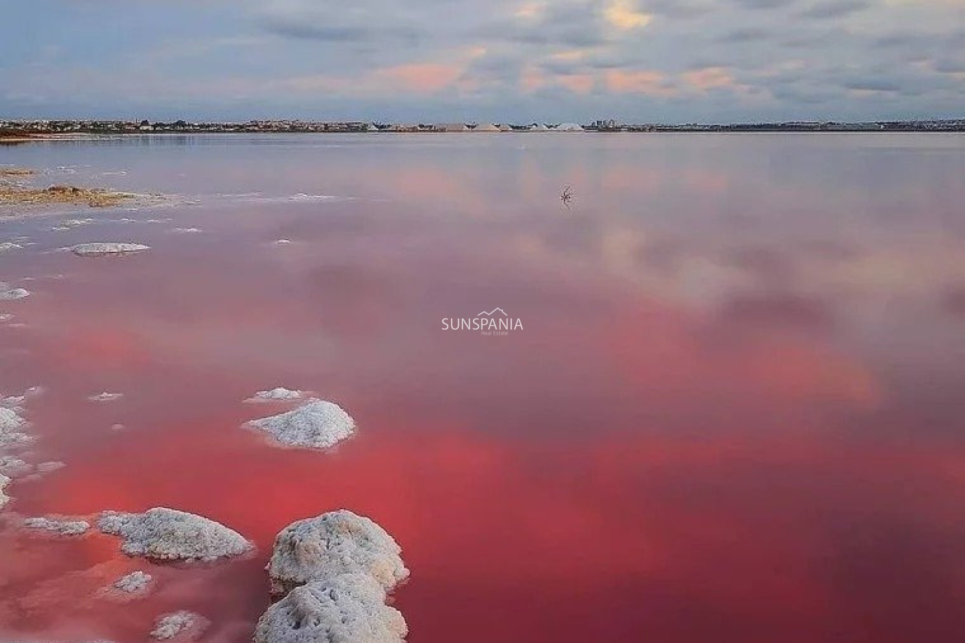 Nouvelle construction - Appartement -
Torrevieja - Lago Jardín II