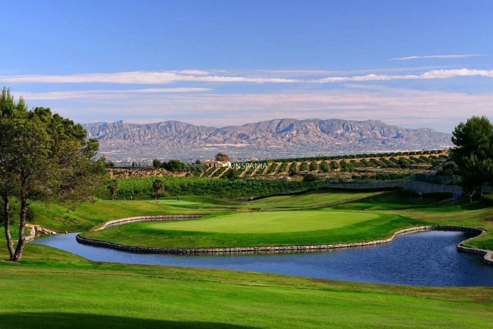 Nouvelle construction - Maison indépendante -
Algorfa - La Finca Golf