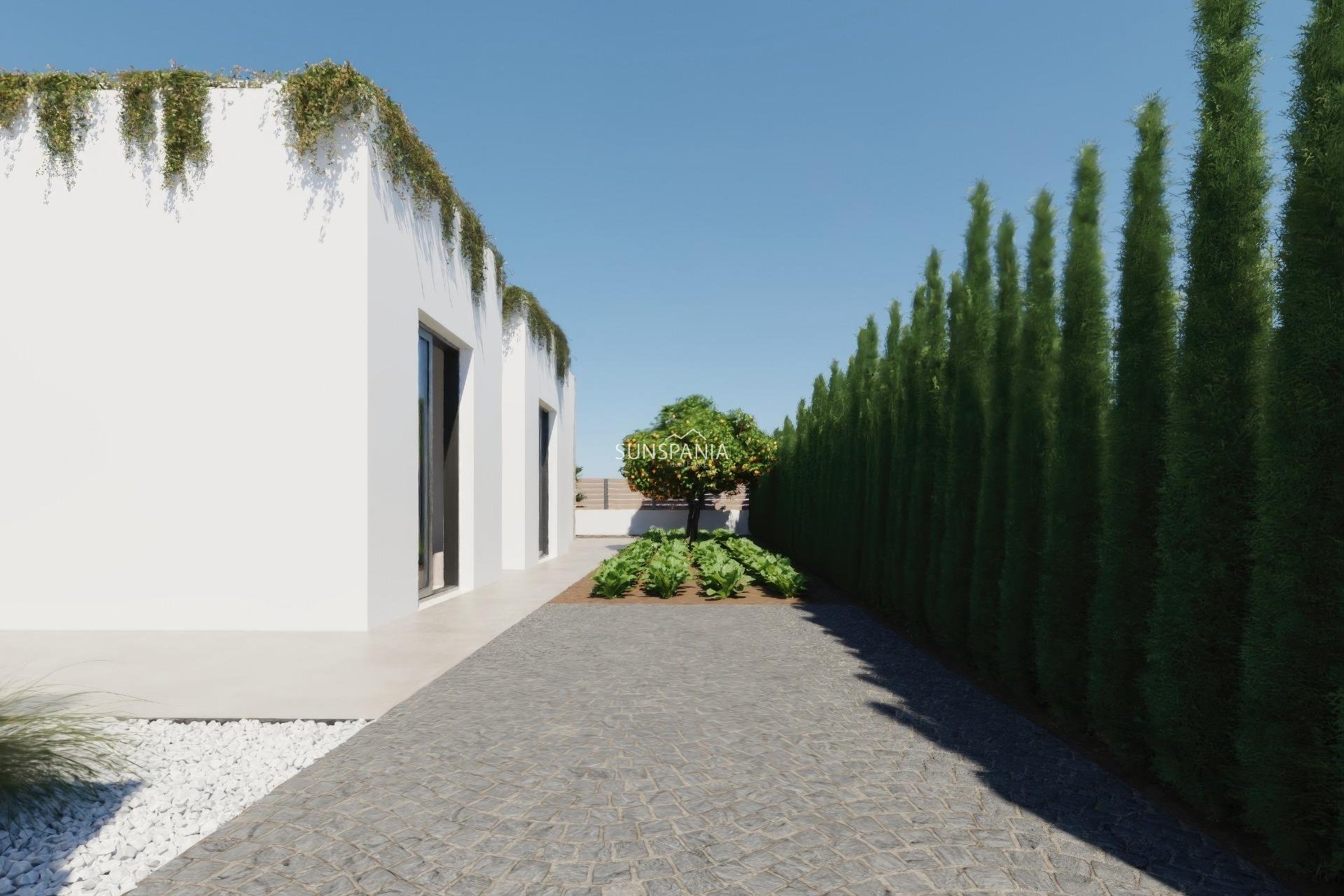 Nouvelle construction - Maison indépendante -
Fuente Álamo - Hacienda del Alamo