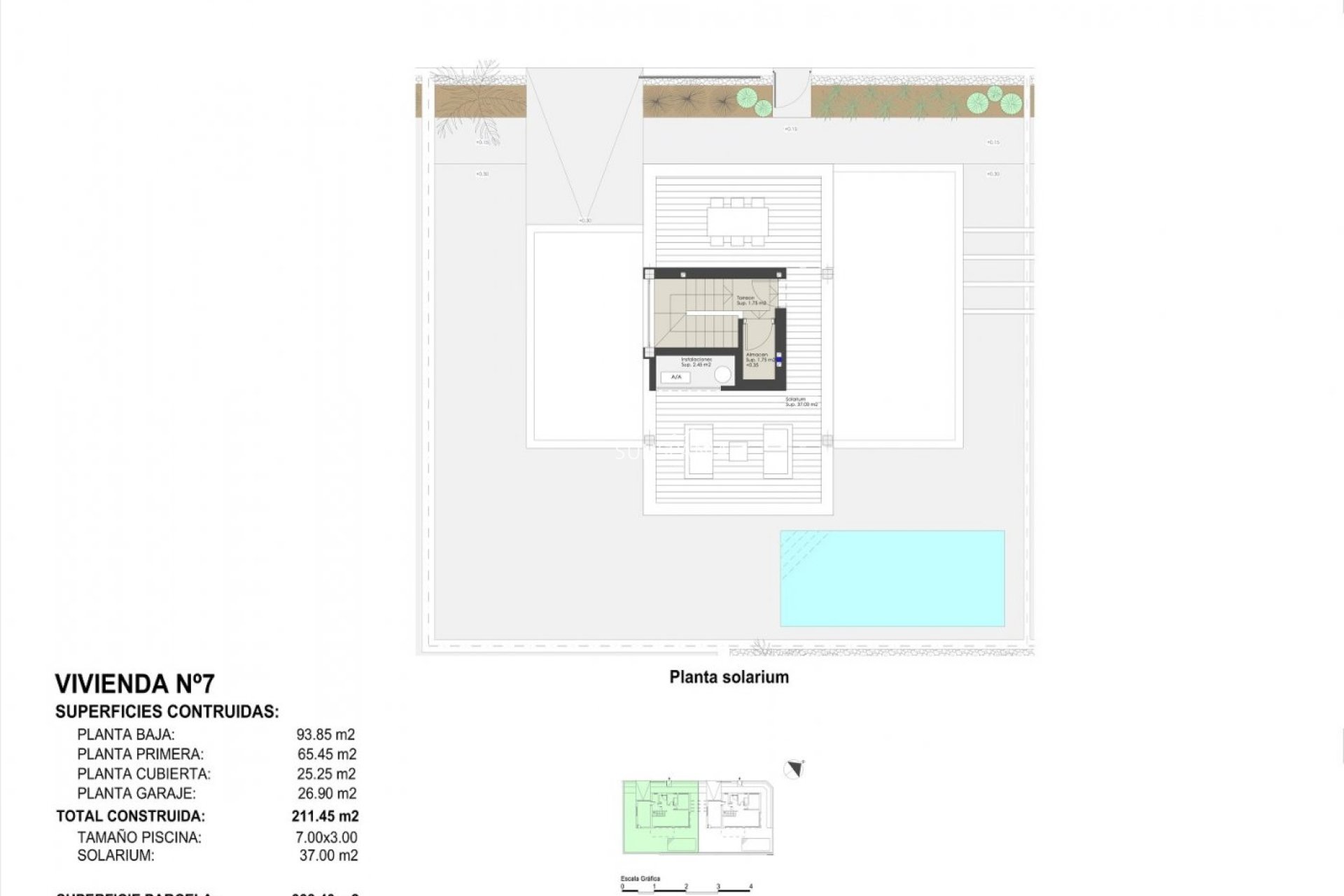 Nouvelle construction - Maison indépendante -
Pilar de la Horadada - Las Higuericas