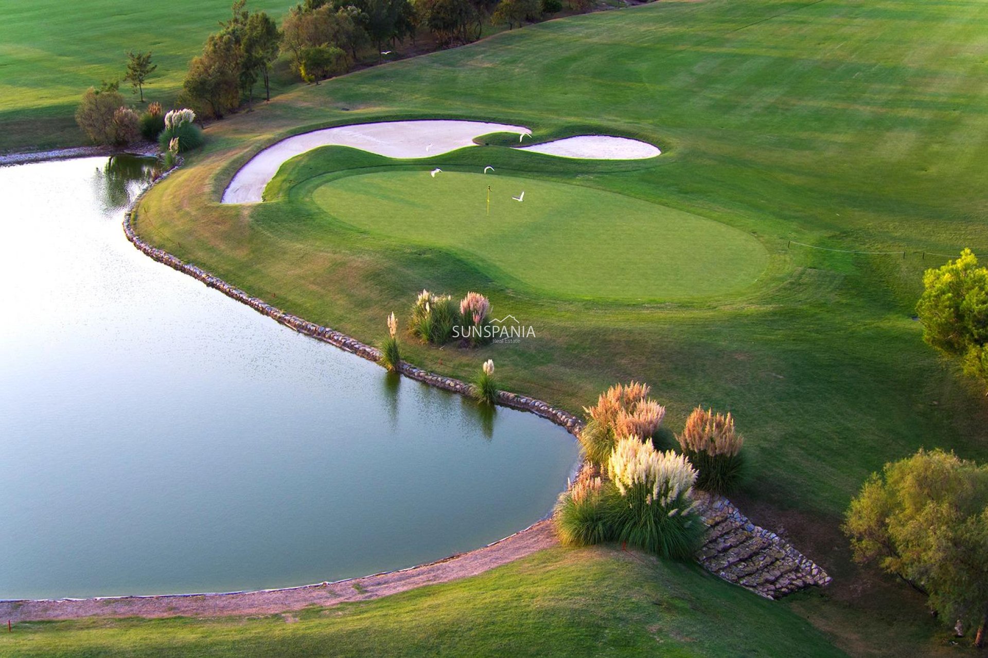 Nouvelle construction - Maison indépendante -
Pilar de la Horadada - Lo Romero Golf