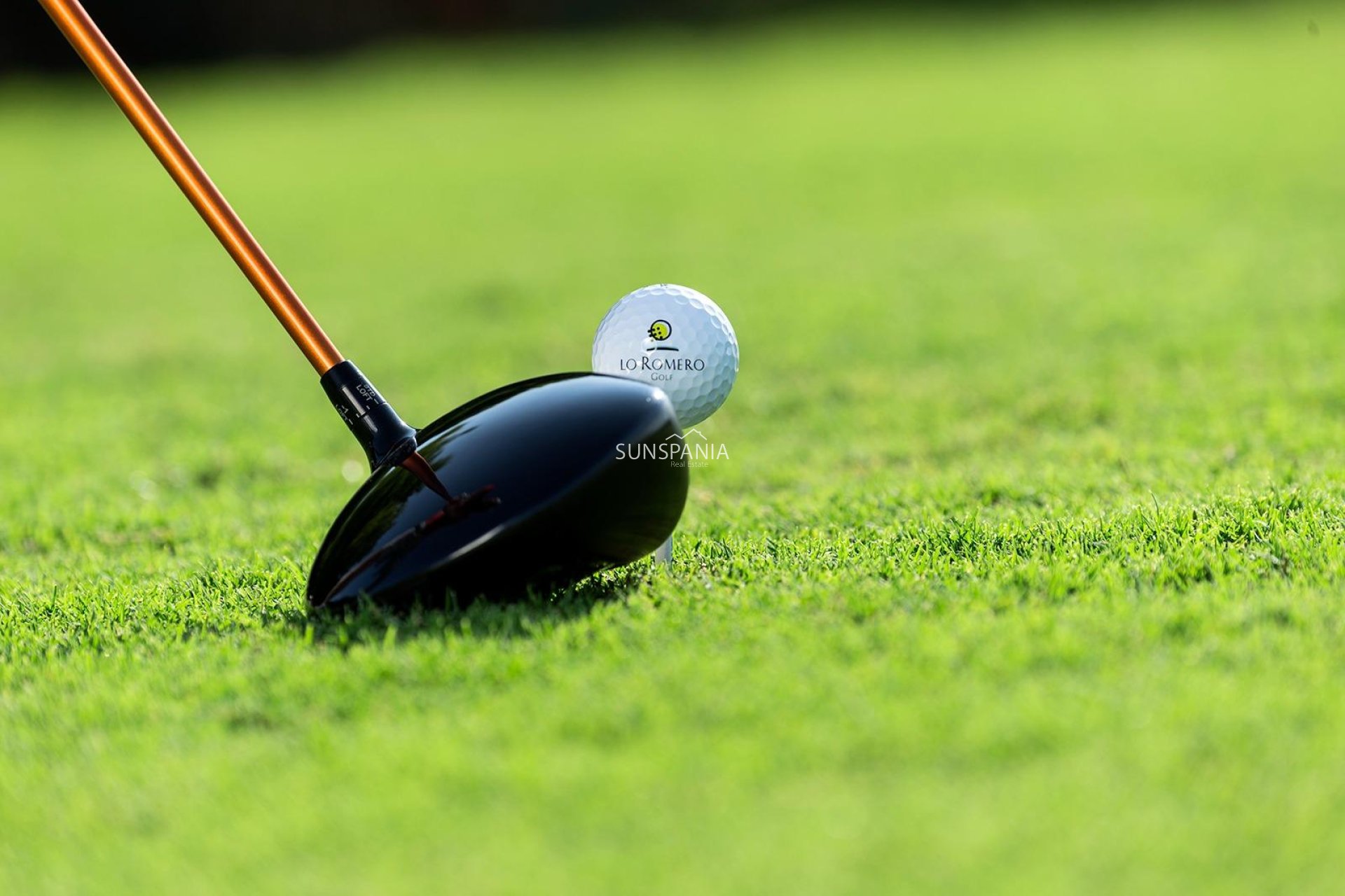 Nouvelle construction - Maison indépendante -
Pilar de la Horadada - Lo Romero Golf