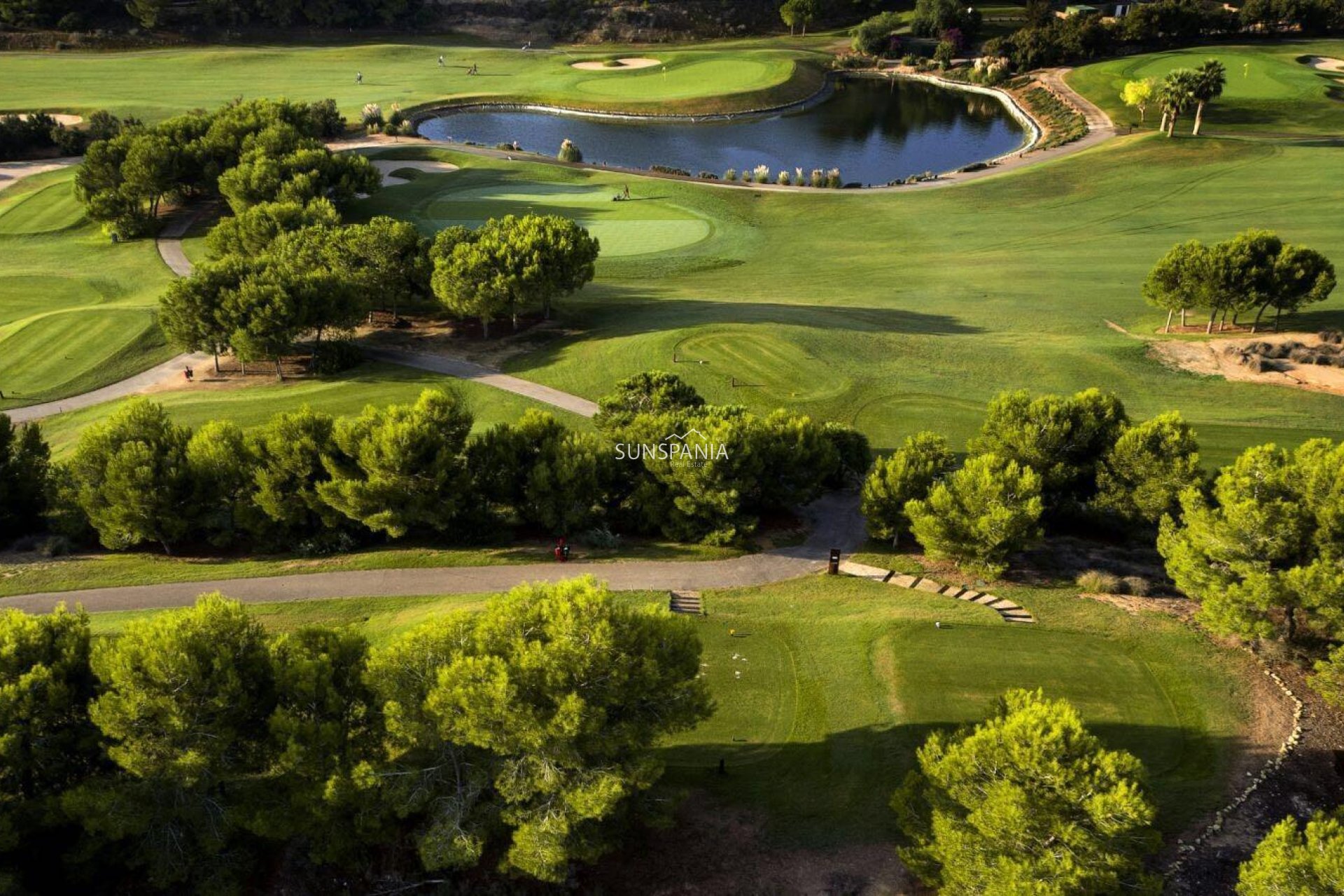 Nouvelle construction - Maison indépendante -
Pilar de la Horadada - Lo Romero Golf