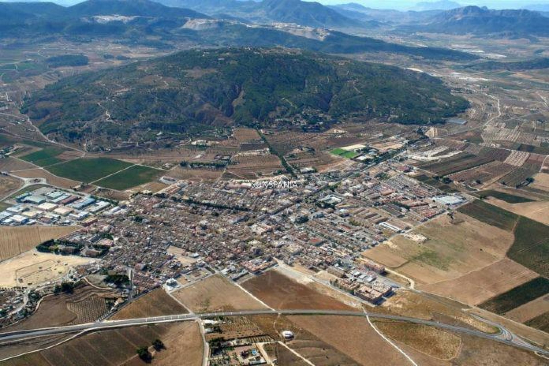 Nouvelle construction - Maison indépendante -
Pinoso - Campo