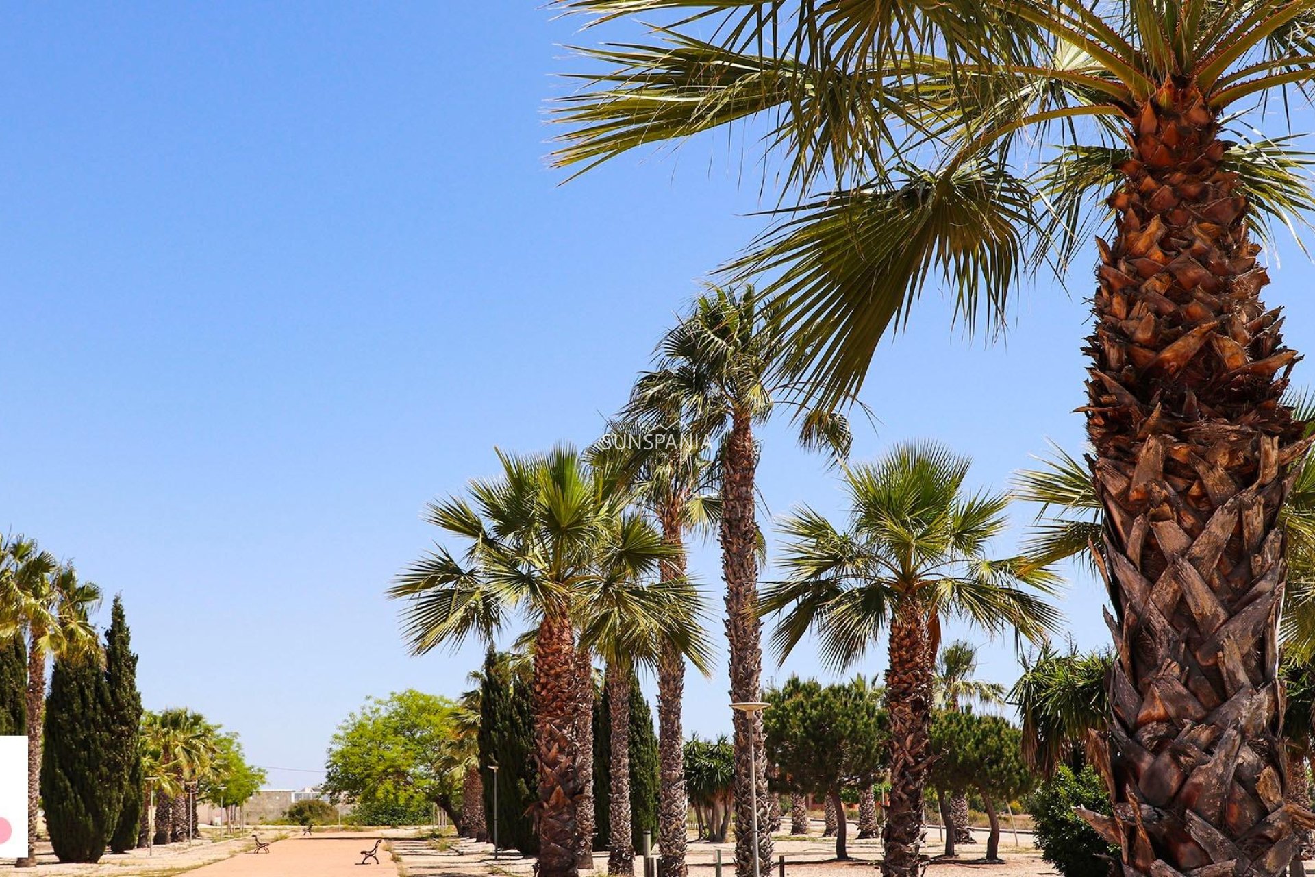 Nouvelle construction - Maison indépendante -
San Fulgencio - La Escuera