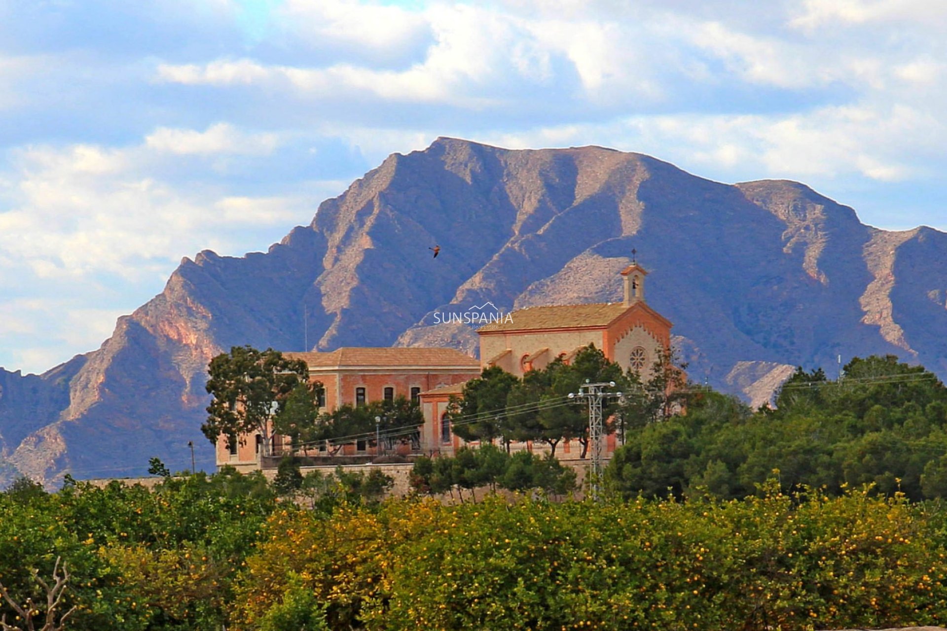 Nouvelle construction - Penthouse -
Algorfa