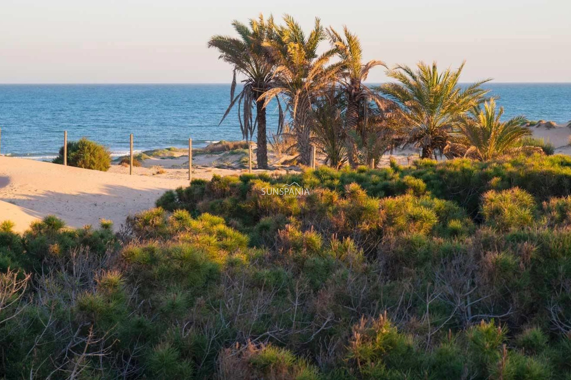 Nouvelle construction - Penthouse -
Guardamar del Segura - Avda del Puerto