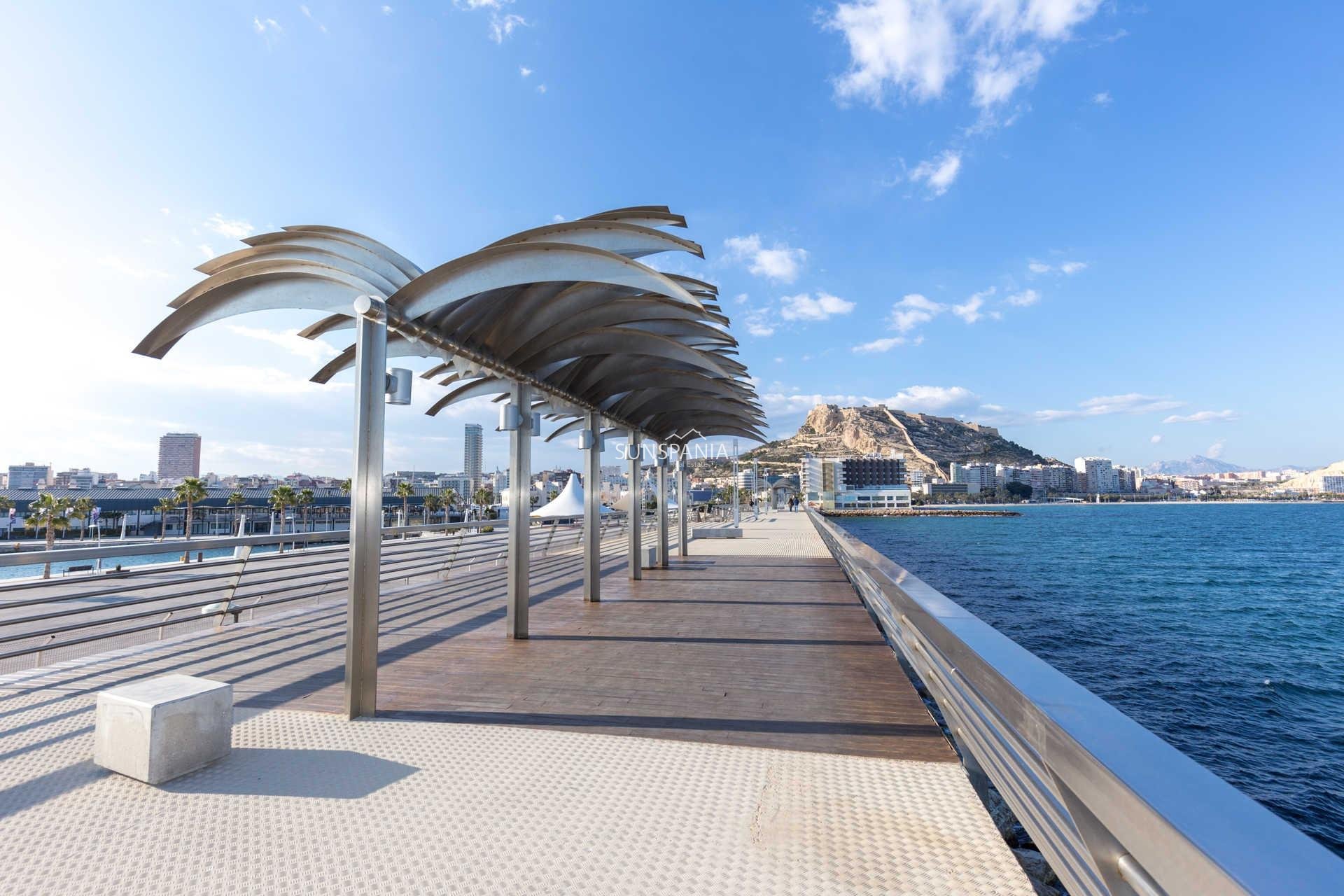 Obra nueva - Ático -
Alicante - Centro