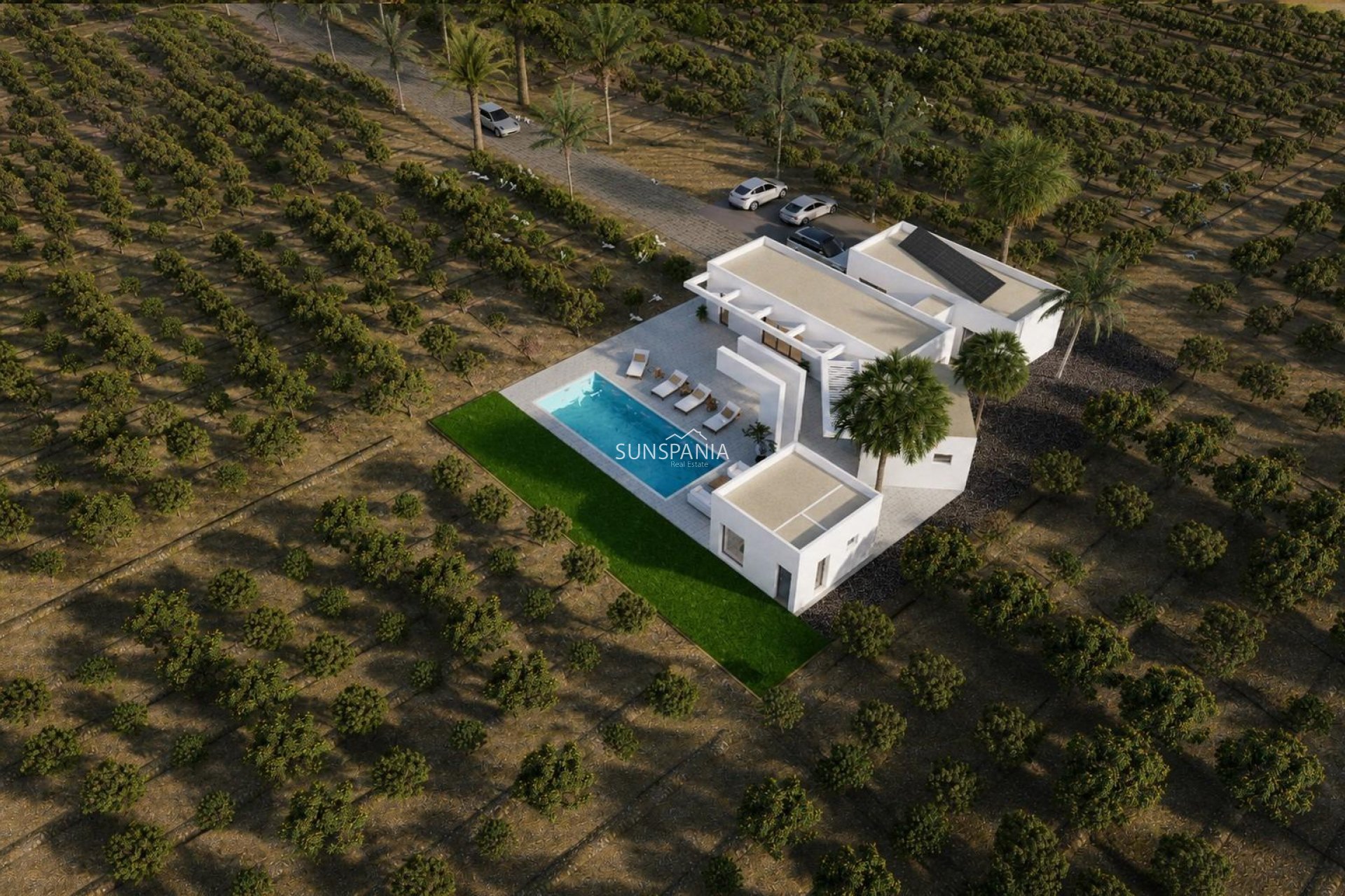 Obra nueva - Chalet -
Benejúzar - alta