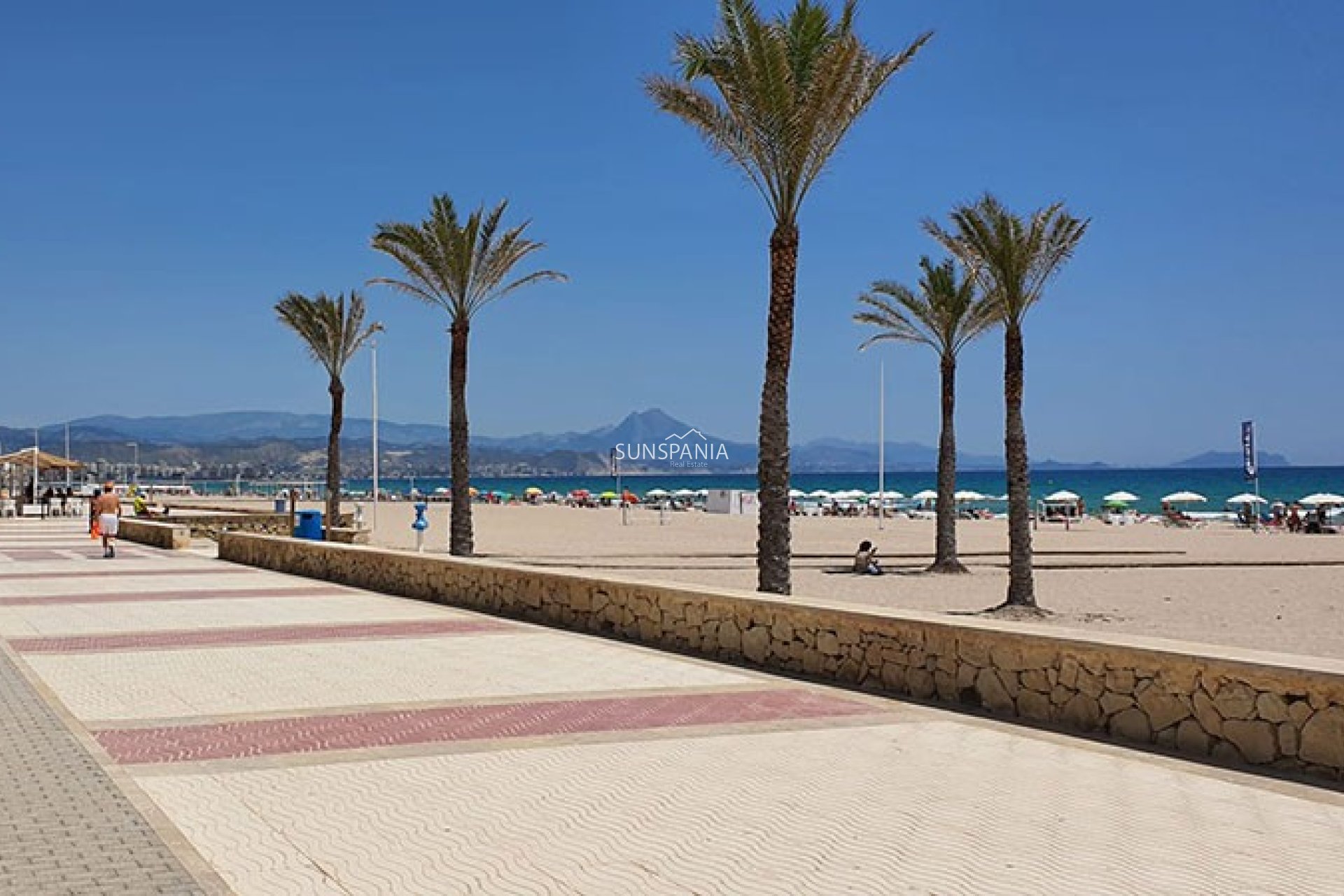 Obra nueva - Chalet -
El Campello - Venta Lanuza