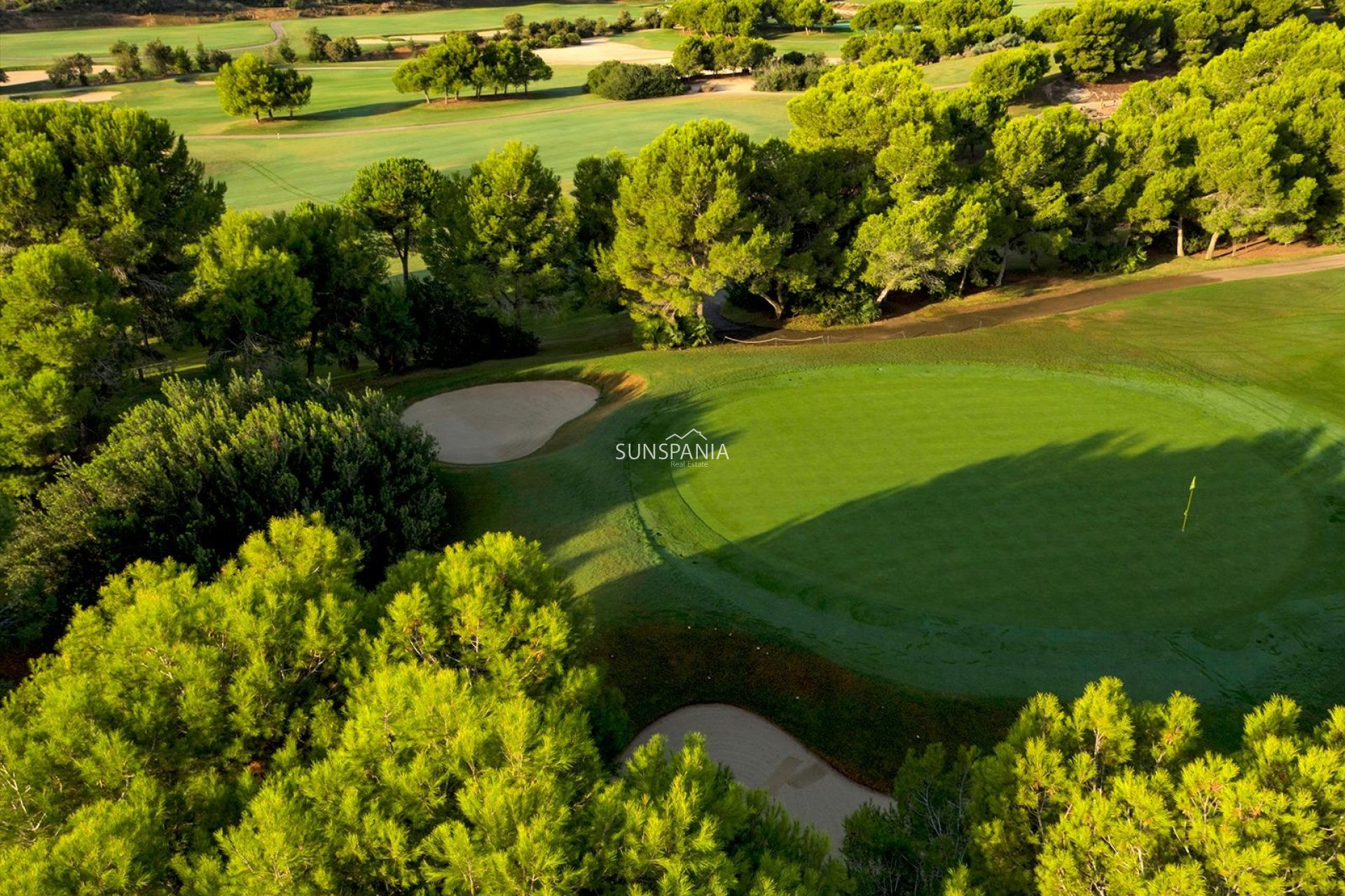 Obra nueva - Chalet -
Pilar de la Horadada - Lo Romero Golf