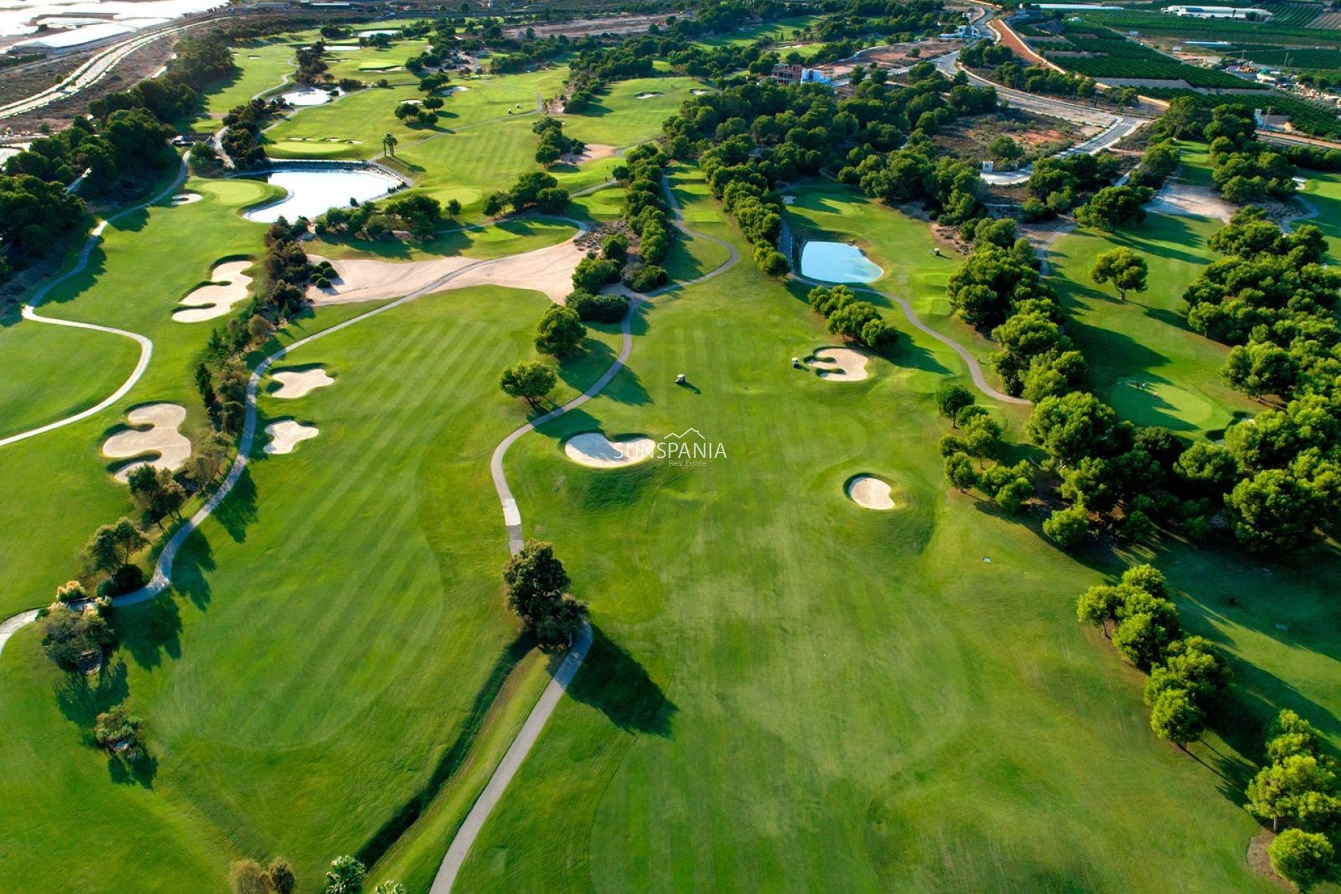 Obra nueva - Chalet -
Pilar de la Horadada - Lo Romero Golf