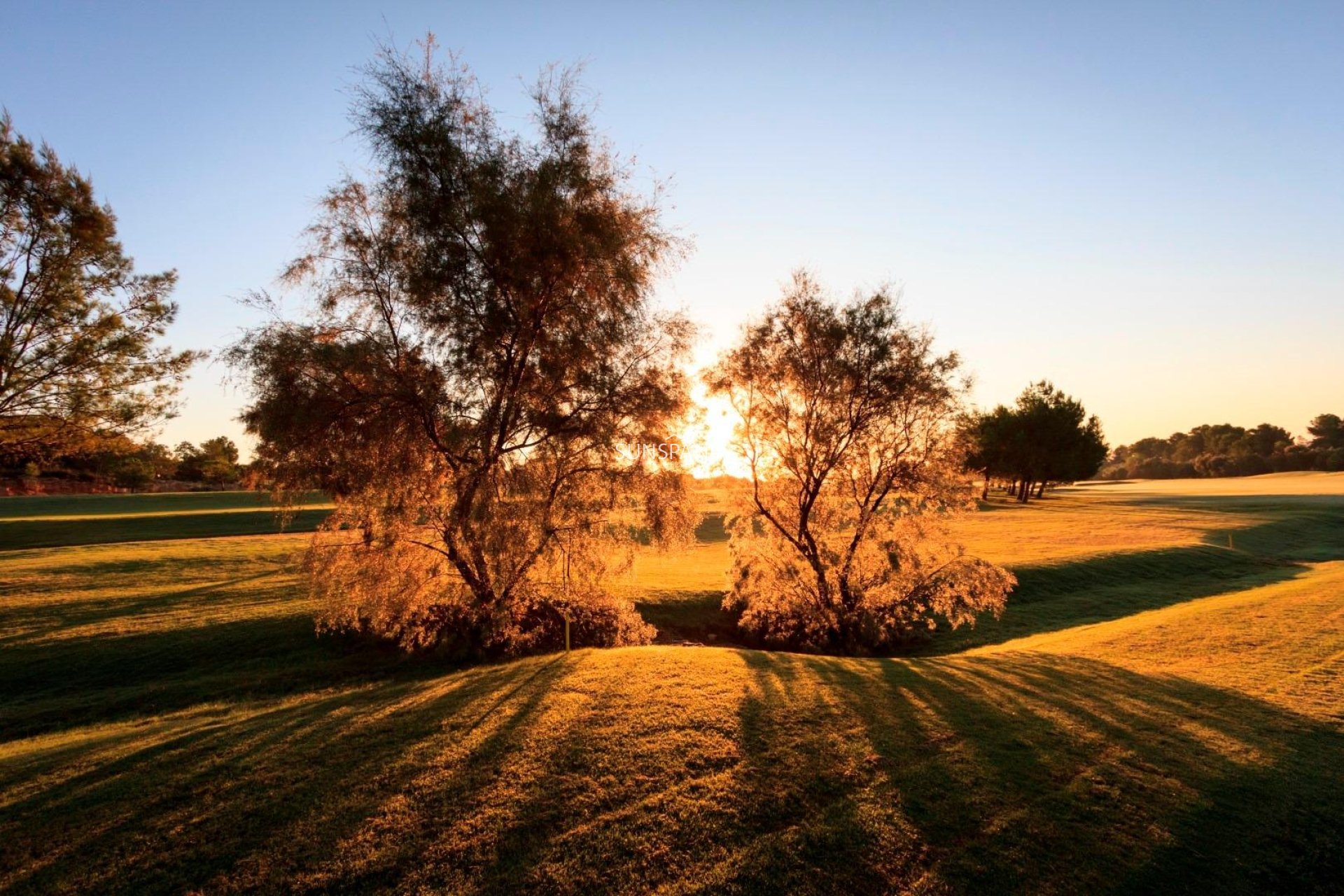 Obra nueva - Chalet -
Pilar de la Horadada - Lo Romero Golf