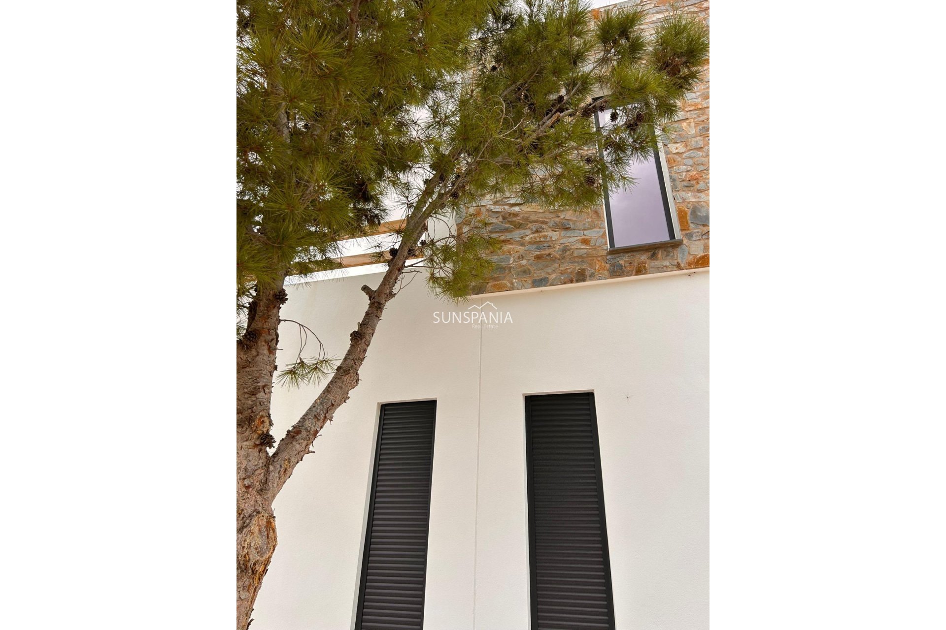 Obra nueva - Chalet -
Pinoso - Casas Pastor