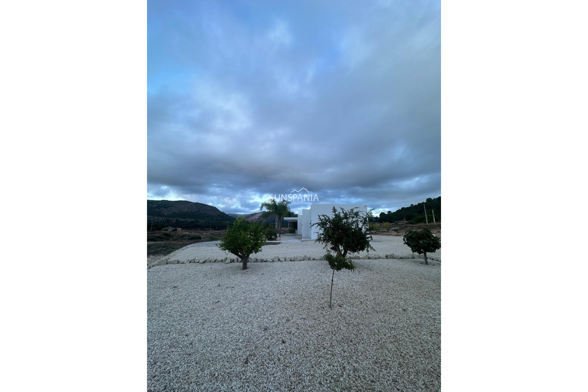 Obra nueva - Chalet -
Pinoso - Casas Pastor