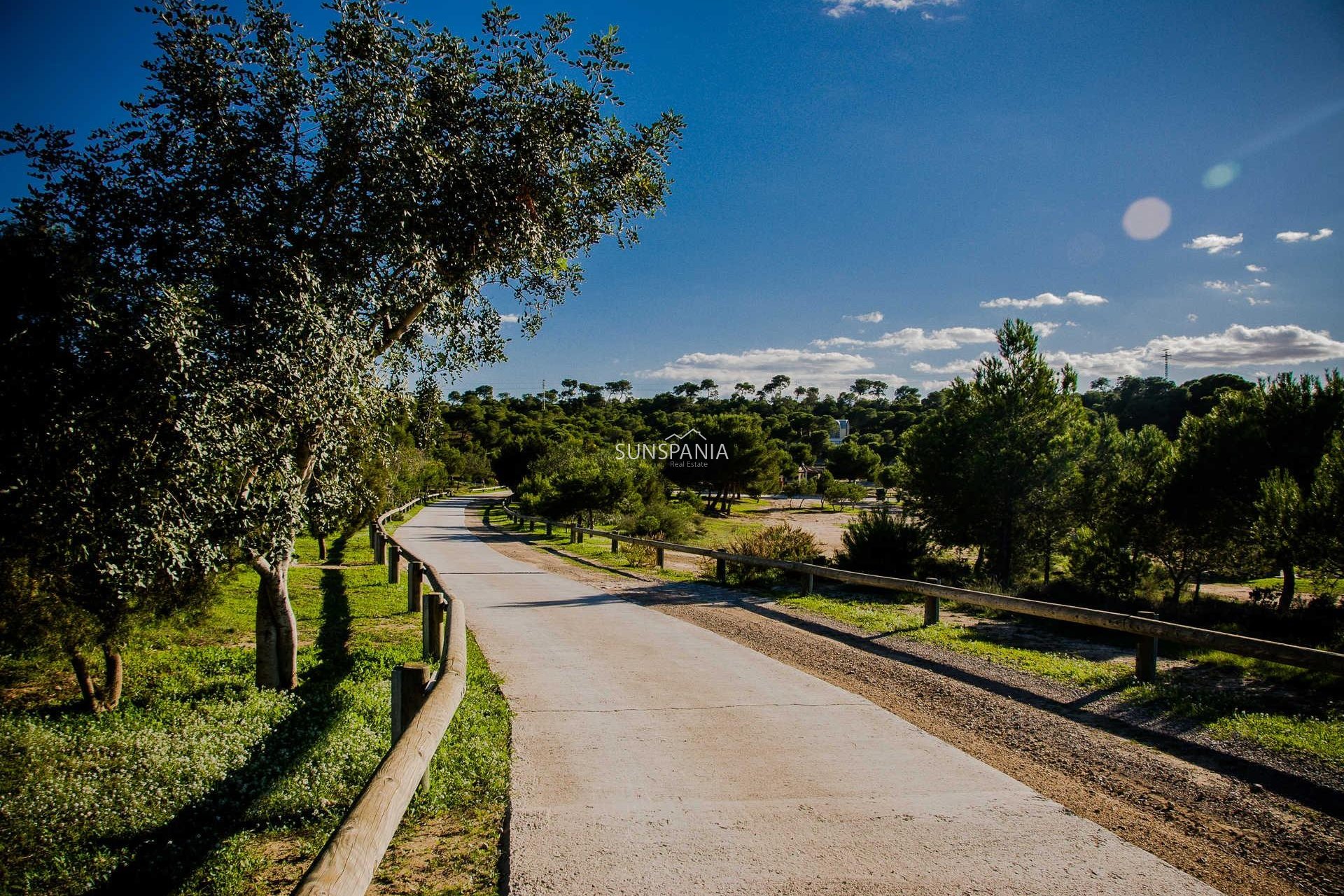 Obra nueva - Chalet -
Rojales - Doña Pena