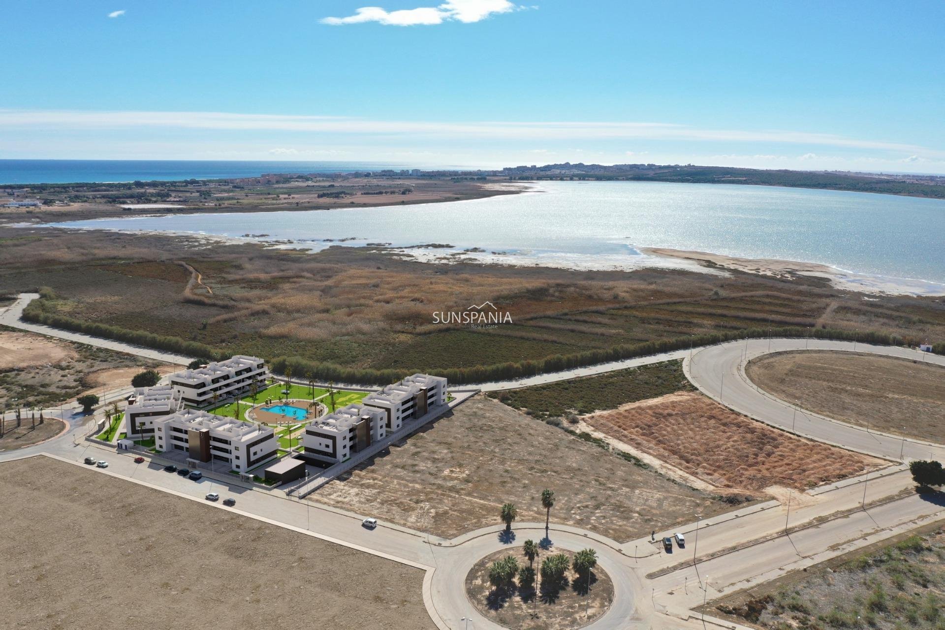 Obra nueva - Piso -
Guardamar del Segura - El Raso