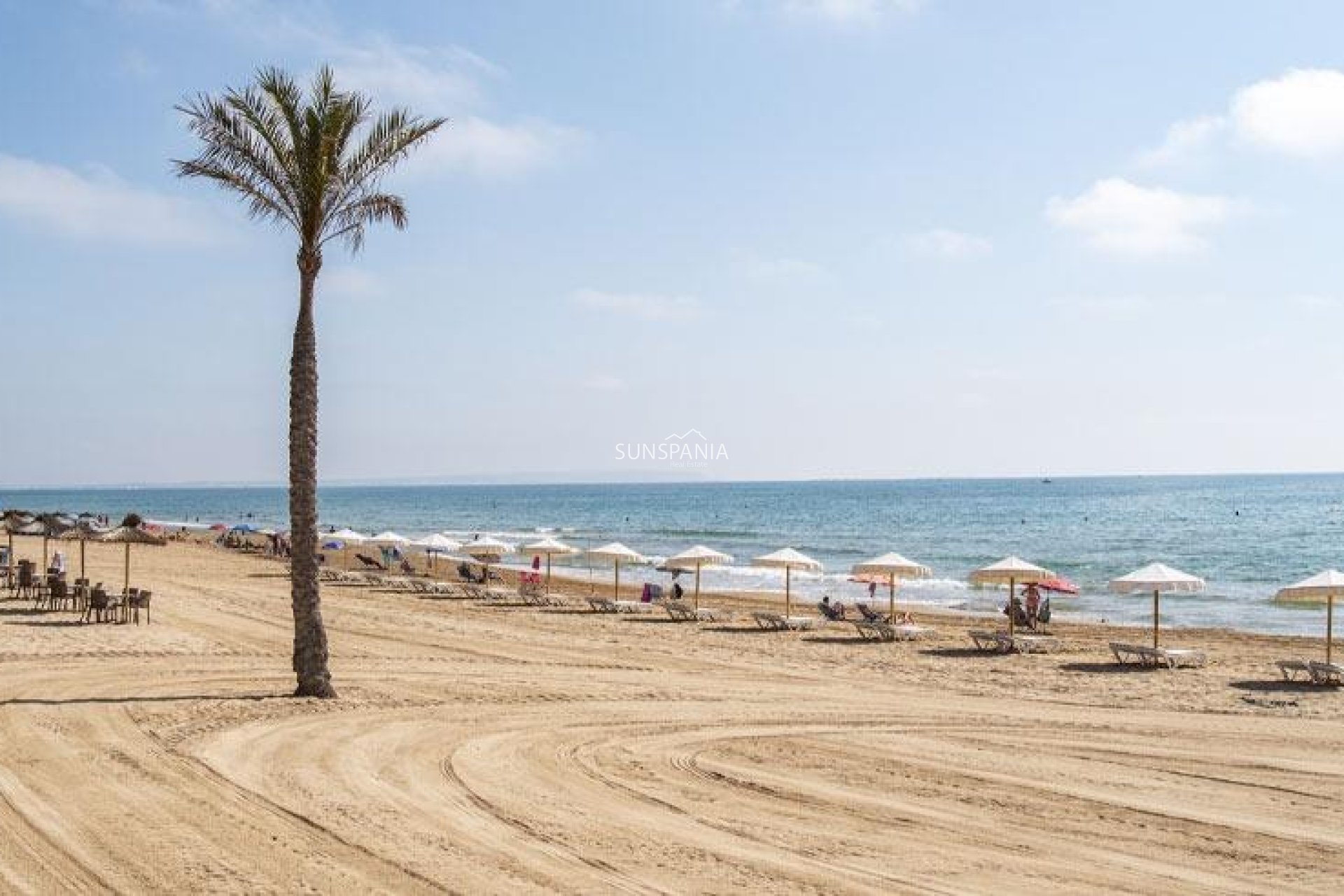 Obra nueva - Piso -
Guardamar del Segura - Pueblo