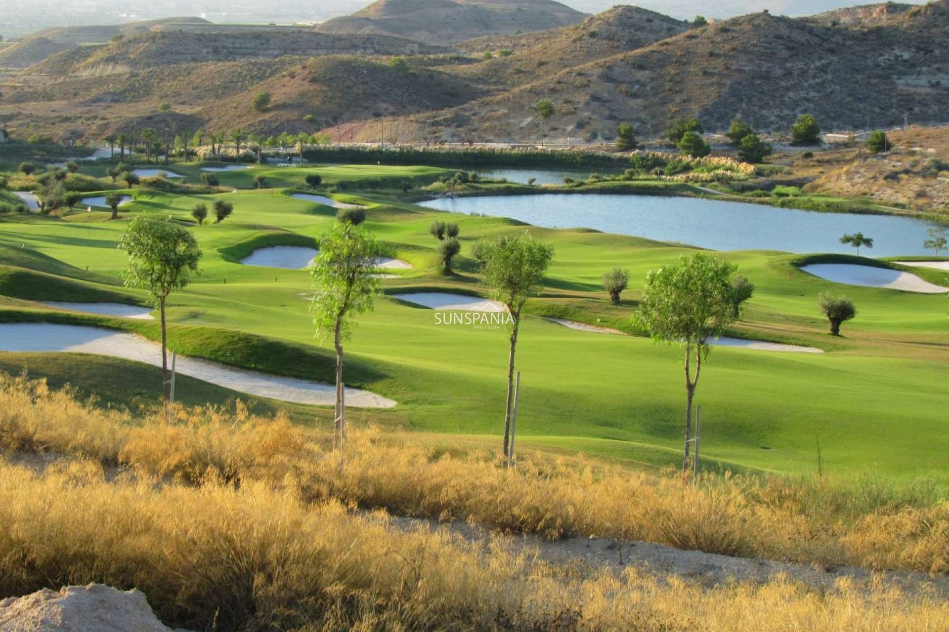 Obra nueva - Piso -
Monforte del Cid - Font del Llop