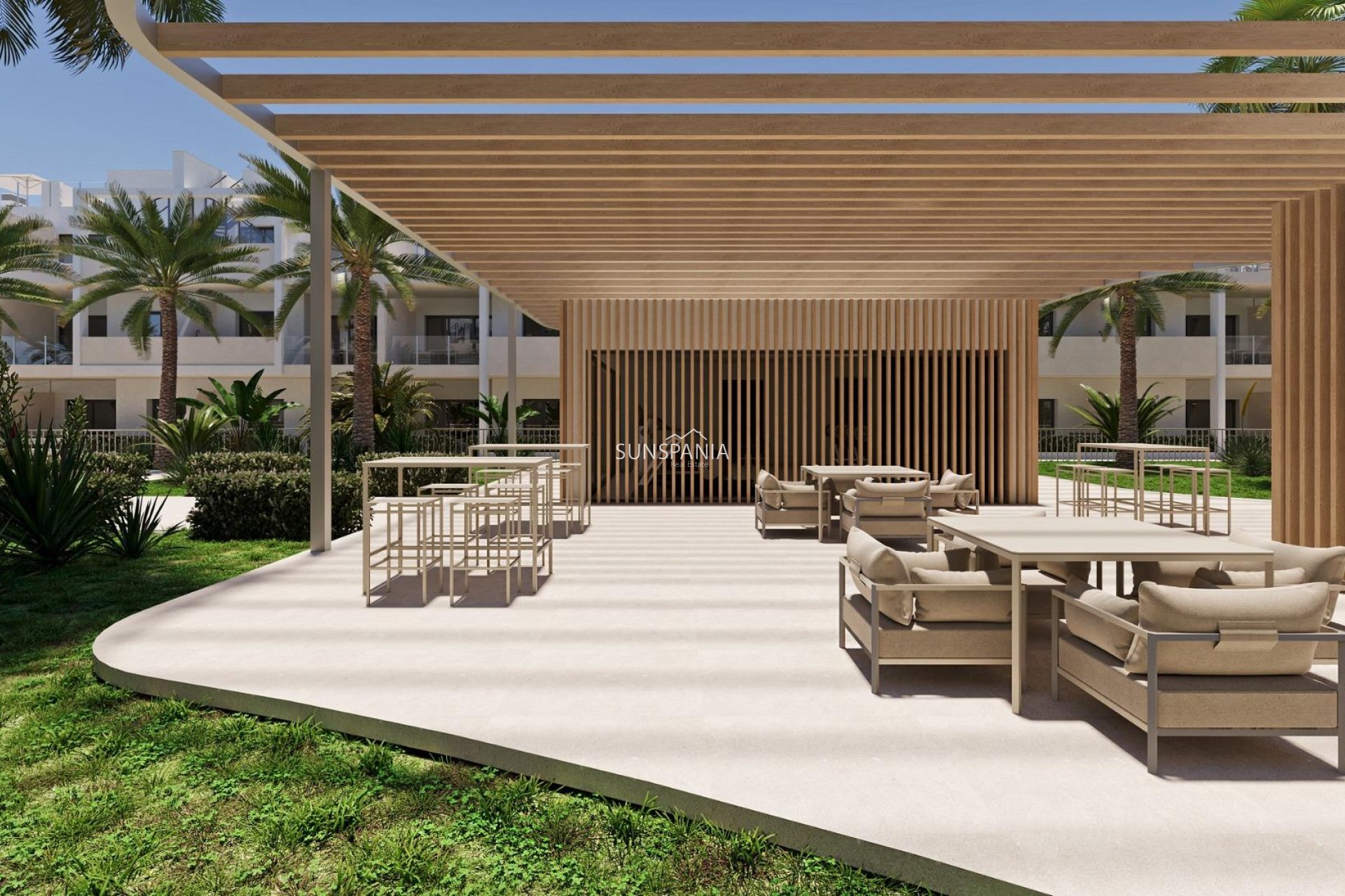 Obra nueva - Piso -
Torre Pacheco - San Cayetano