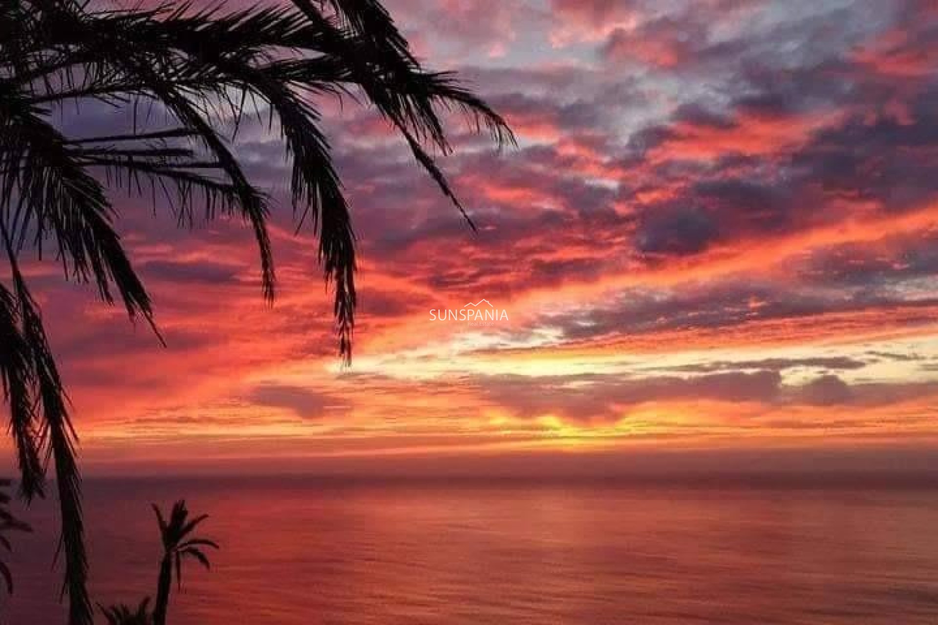 Obra nueva - Piso -
Torrevieja - Altos del Sol