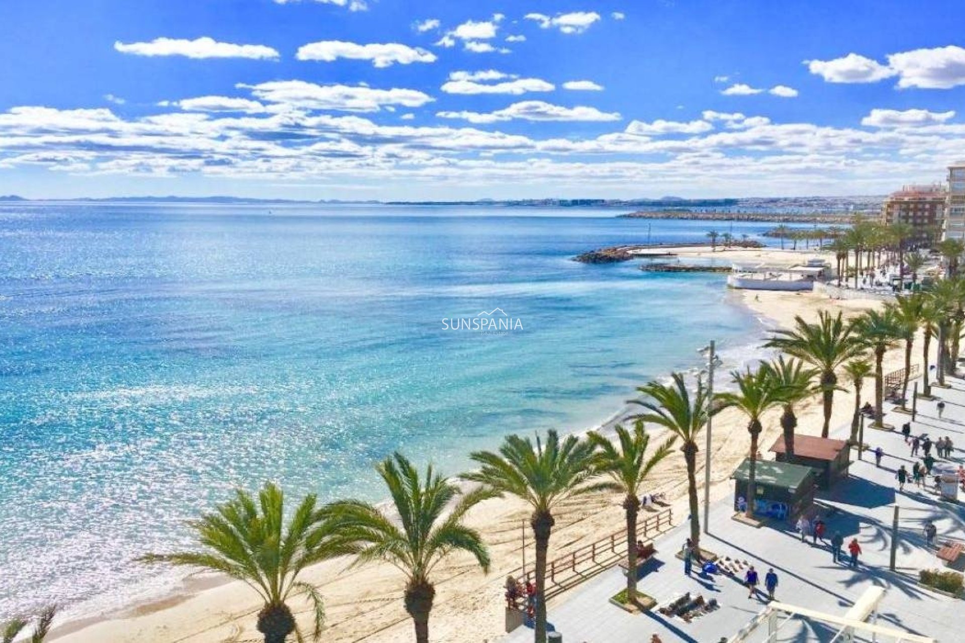 Obra nueva - Piso -
Torrevieja - Lago Jardín II