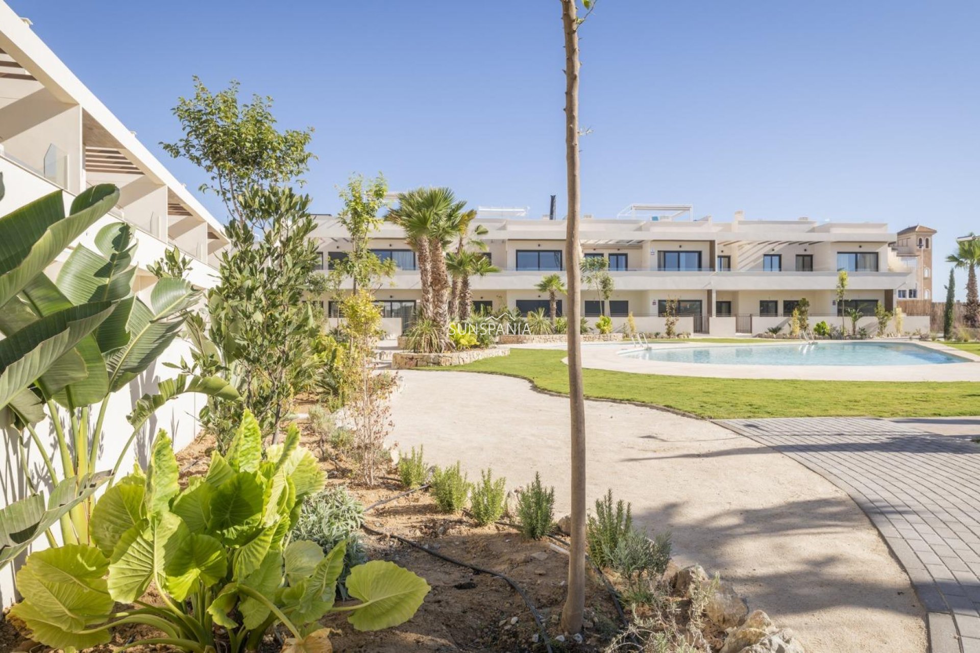 Obra nueva - Piso -
Torrevieja - Villa Amalia