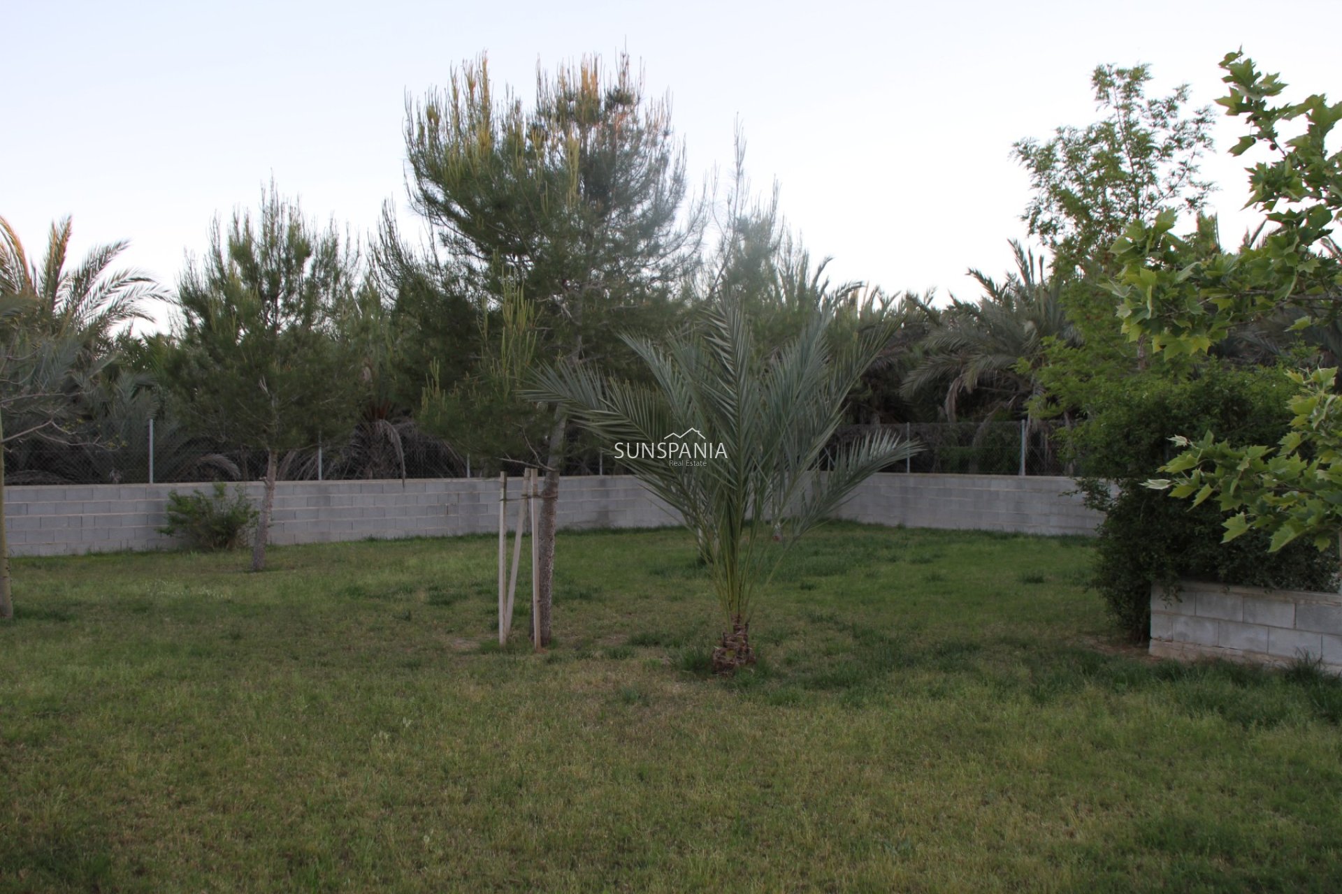 Resale - Villa -
Catral
