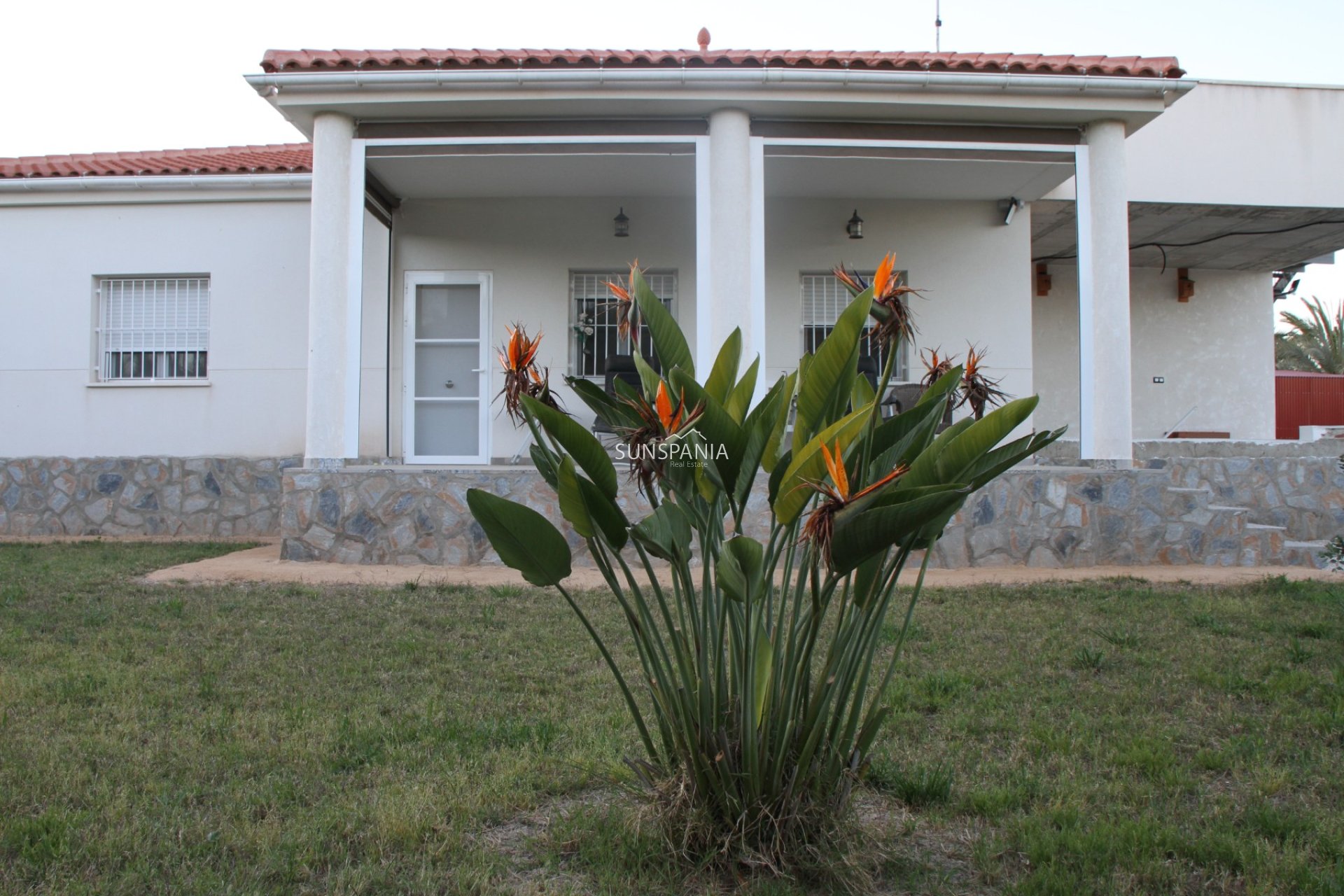 Reventa - Chalet -
Catral