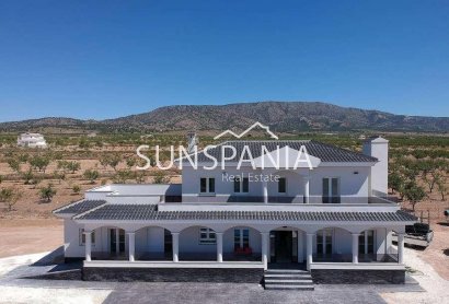 Villa - New Build - Pinoso - Camino Del Prado