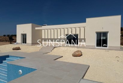 Villa - New Build - Pinoso - Camino Del Prado