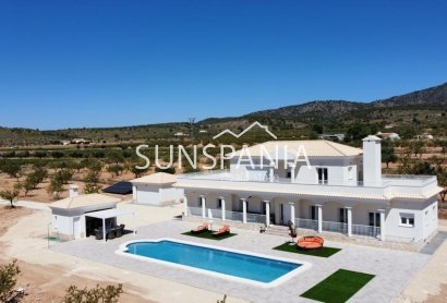 Villa - New Build -
            Pinoso - NB-38656