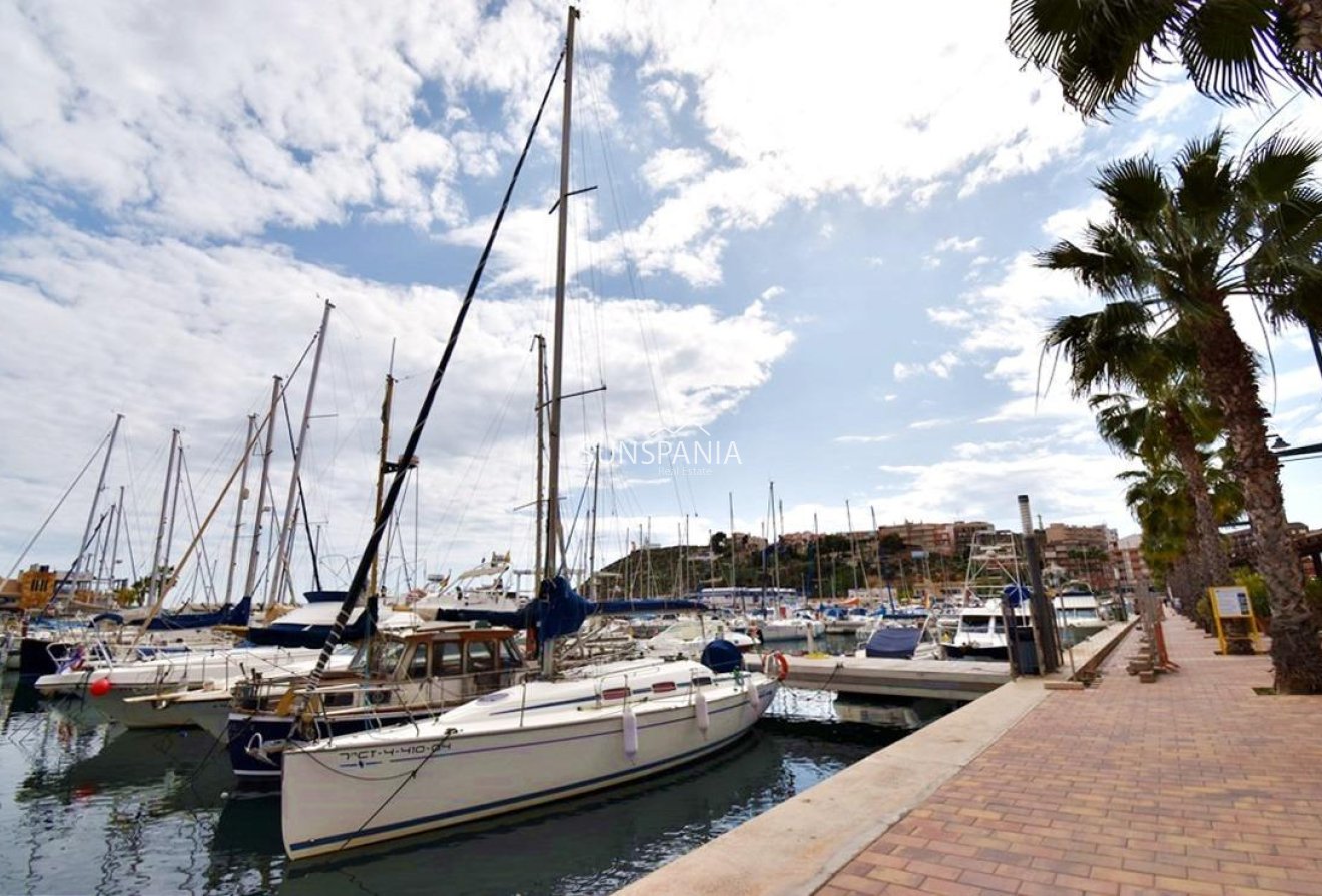 New Build - Apartment -
Puerto de Mazarron - Playa del Puerto