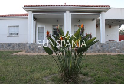 Resale - Villa -
Catral