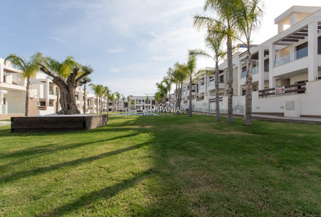 Obra nueva - Piso -
Torrevieja - Los Balcones