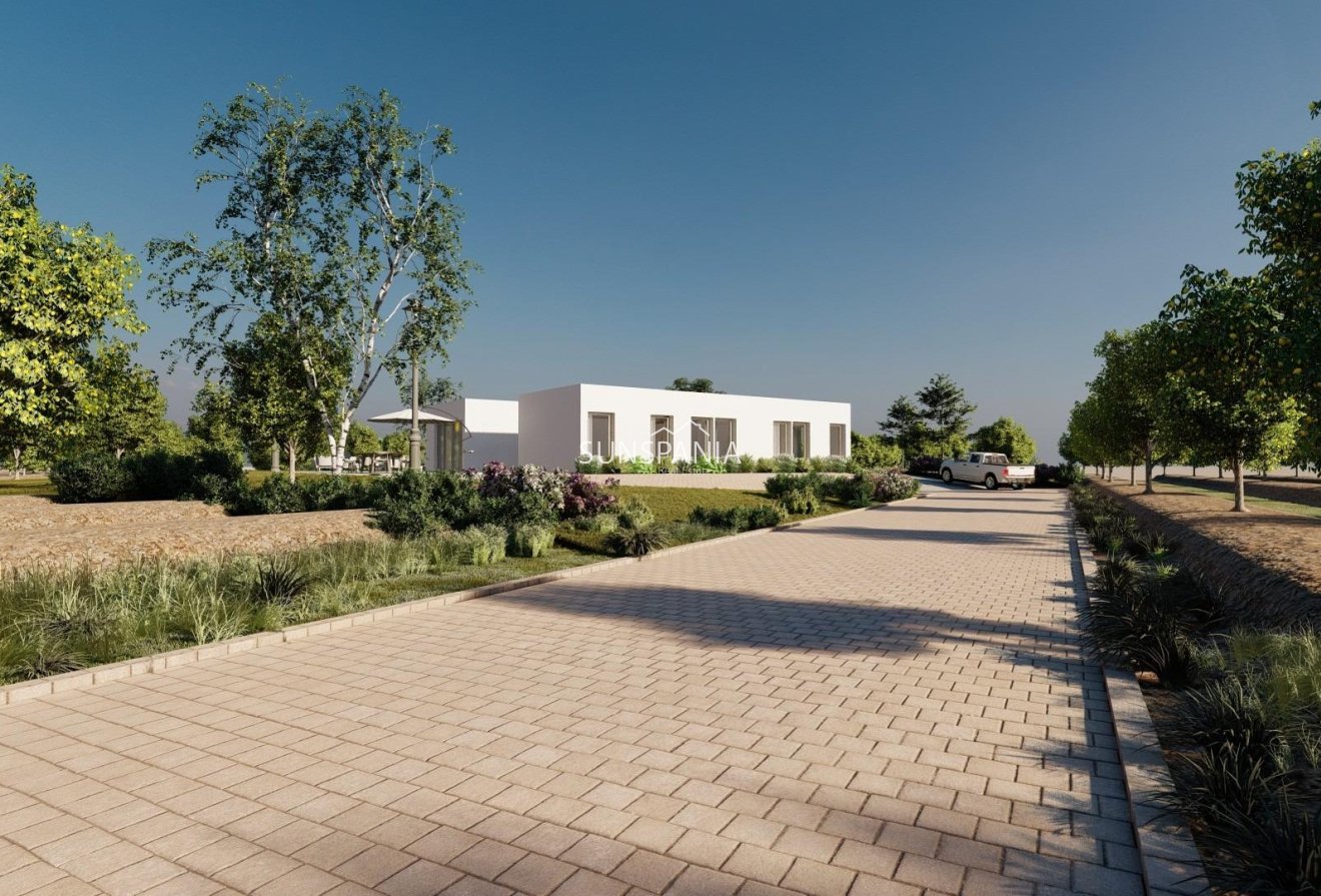 Obra nueva - Chalet -
Benejúzar - alta
