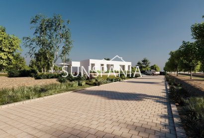 Obra nueva - Chalet -
Benejúzar - alta