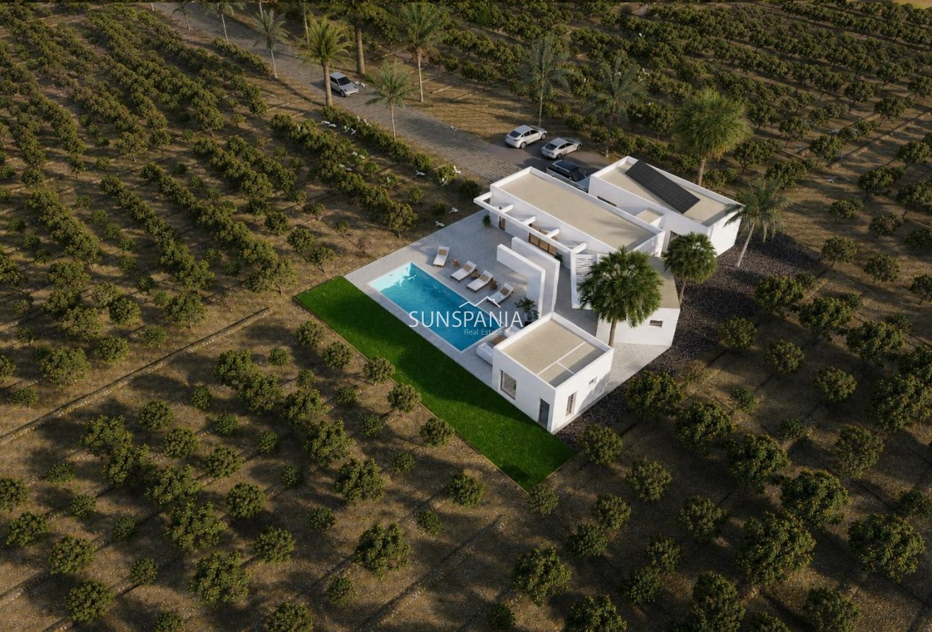 Obra nueva - Chalet -
Benejúzar - alta