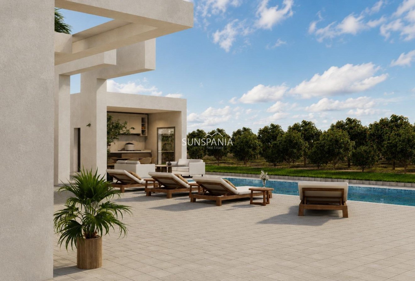 Obra nueva - Chalet -
Benejúzar - alta