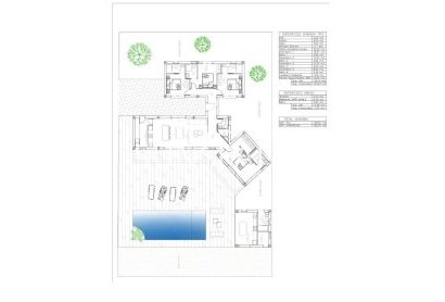 Obra nueva - Chalet -
Benejúzar - alta