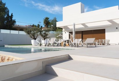 Obra nueva - Chalet -
Benejúzar - alta