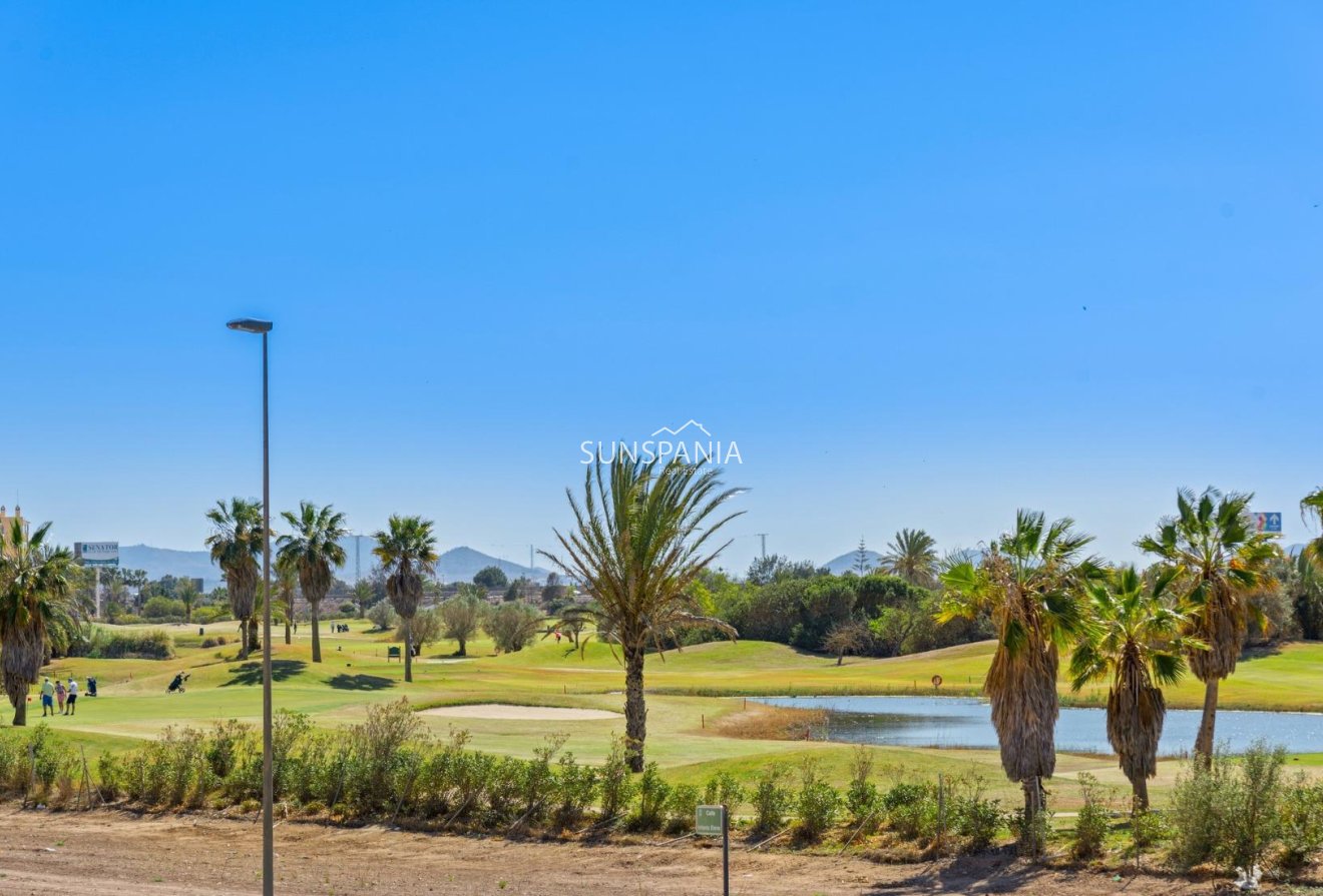 Obra nueva - Chalet -
San Javier - Parque del doce