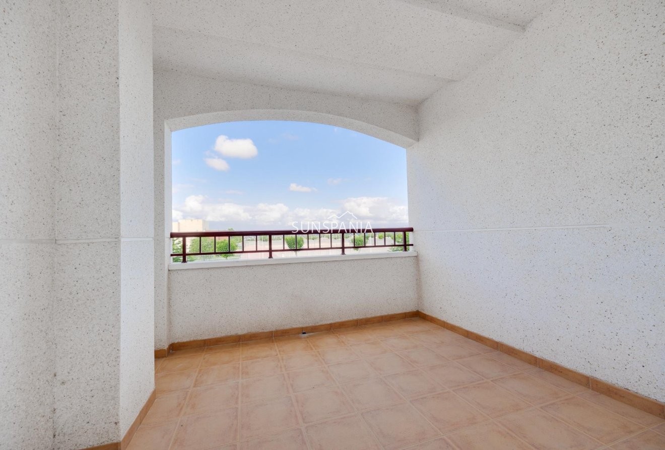 Obra nueva - Piso -
San Fulgencio - Pueblo