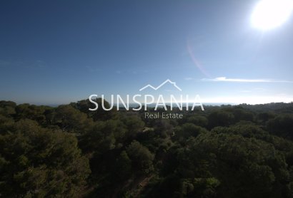 Obra nueva - Piso -
Guardamar del Segura - Pueblo