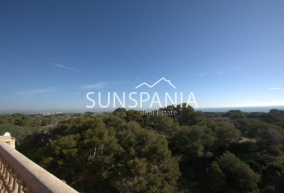 Obra nueva - Piso -
Guardamar del Segura - Pueblo