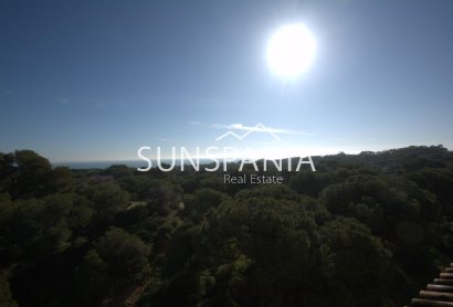 Obra nueva - Ático -
Guardamar del Segura - Pueblo